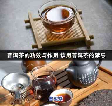 普洱茶和花茶的区别、功效与作用及禁忌