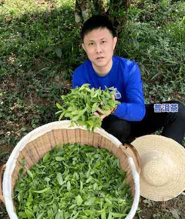 普洱茶投茶量少怎样保存，小量普洱茶的保存攻略：怎样正确存储投茶量少的普洱茶？