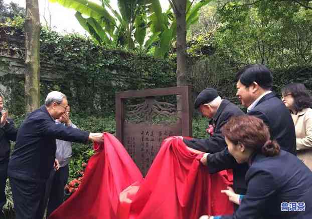 新景普洱茶叶怎么样-新景普洱茶叶怎么样啊