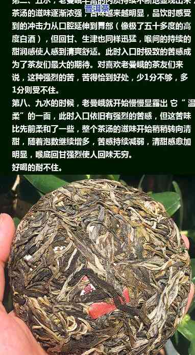 茶马世家老曼峨普洱茶生茶-2021年老曼峨茶叶价格