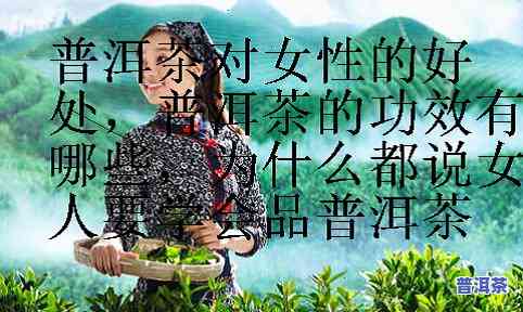 普洱茶对女性的好处：全面解析