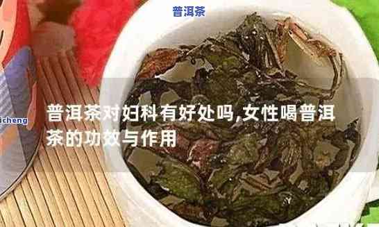 普洱茶对女性的好处：全面解析