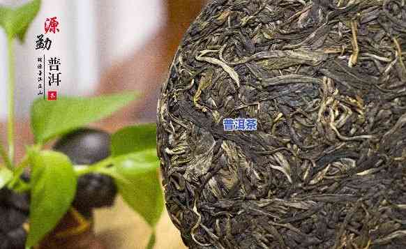 源普洱是名牌普洱茶吗？探讨其知名度与品质