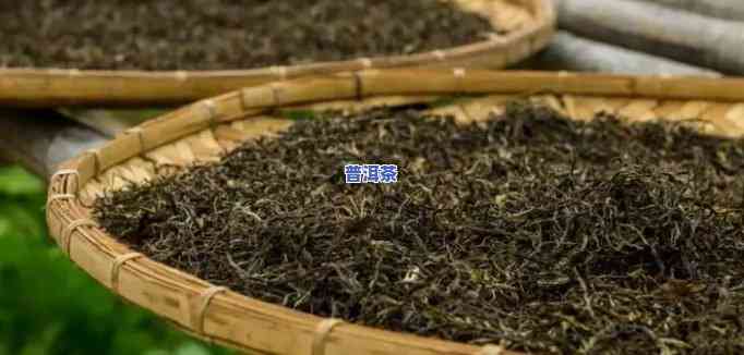 普洱茶夏天：适合哪个季节饮用？夏日存储方法大揭秘！