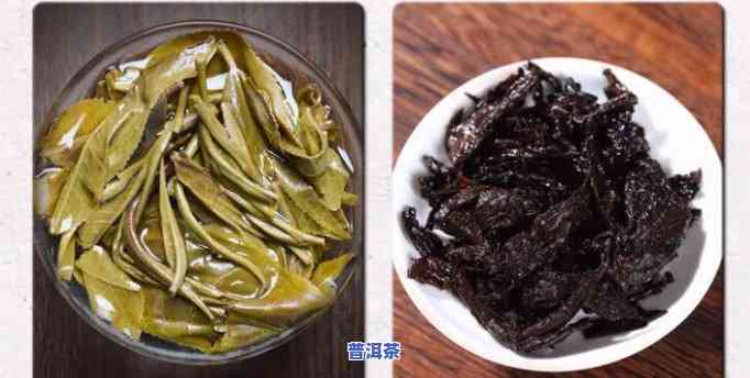 普洱茶：真的不存在那么多门道吗？