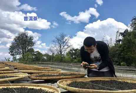 普洱茶只有之一泡就特别甜-普洱茶只有之一泡就特别甜正常吗