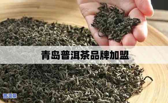 青岛普洱茶招商加盟-青岛普洱茶招商加盟电话