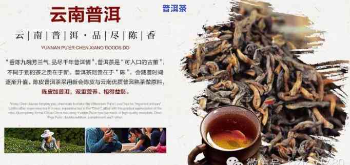 普洱茶历史宣传口号是什么-普洱茶历史宣传口号是什么意思