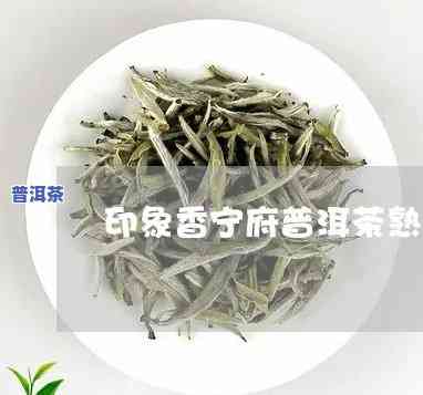 香宁普洱府普洱茶价格，熟悉香宁普洱府普洱茶的价格，品尝正宗的云南好茶！