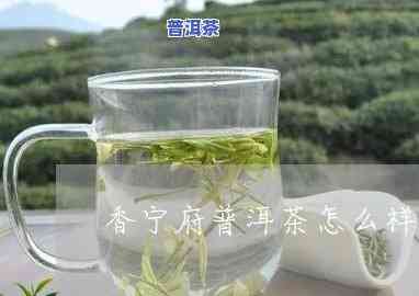 香宁普洱府普洱茶价格，熟悉香宁普洱府普洱茶的价格，品尝正宗的云南好茶！