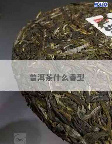 普洱茶六大香型有哪些-普洱茶六大香型有哪些好