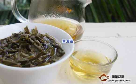 冰岛普洱茶梅子香好喝吗，探索冰岛普洱茶的特别魅力：梅子香是不是让你爱不释口？