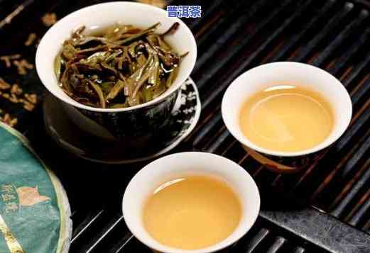 冰岛普洱茶梅子香好喝吗，探索冰岛普洱茶的特别魅力：梅子香是不是让你爱不释口？