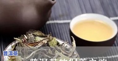 普洱茶的日常保养方法视频讲解