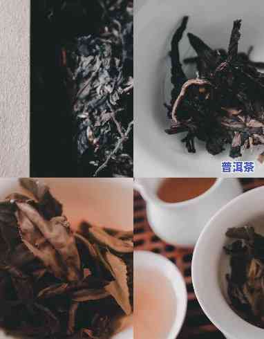 易武普洱茶抖音视频怎么拍的，揭秘易武普洱茶抖音视频拍摄技巧