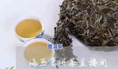 海玉直播普洱茶是不是学费茶，揭秘海玉直播普洱茶：是学费茶还是真货？