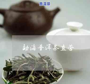 海玉普洱茶在哪里直播卖的-海玉普洱茶在哪里直播卖的好