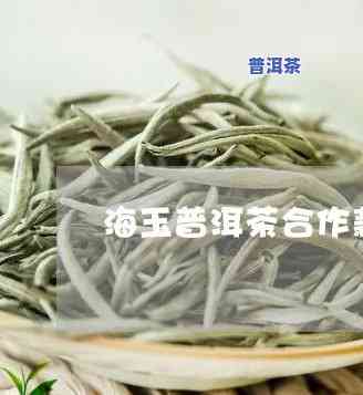 海玉普洱茶在哪里直播卖的-海玉普洱茶在哪里直播卖的好