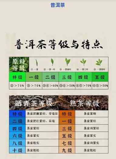 普洱茶麦号等级详解：从1到9级全面解析