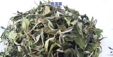 普洱茶烘干解决后的茶叶是不是安全可饮用？