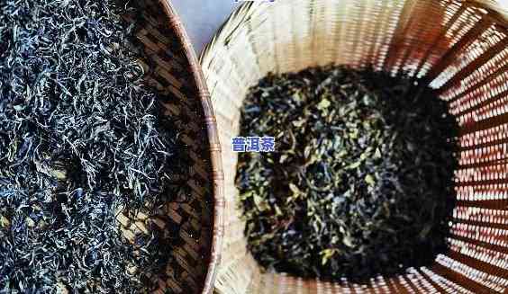 普洱茶烘干干烘茶叶-普洱茶烘干干烘茶叶好吗