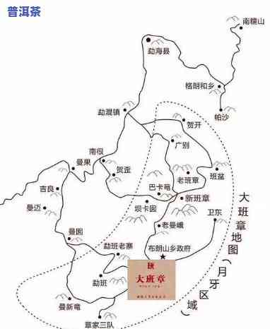 勐海七哥普洱茶供应链公司-勐海七哥普洱茶供应链公司地址