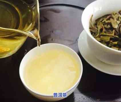 临沧普洱茶特点和口感，探索云南的宝藏：临沧普洱茶的特别特点与口感解析