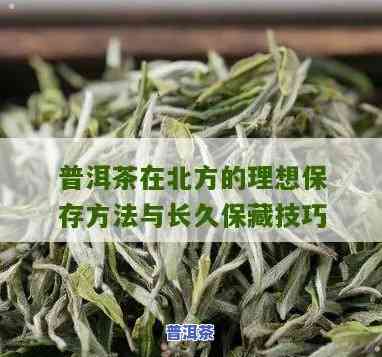 北方气候存储普洱茶可以吗冬天，冬季存储普洱茶？北方气候适合吗？