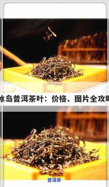 普洱冰岛茶哪里买最正宗？权威回答在此！