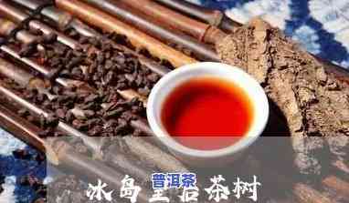 冰岛皇后是什么茶，揭开神秘面纱：探究“冰岛皇后”究竟为何种茶叶？