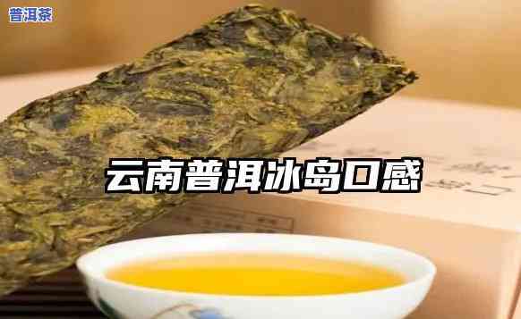 云南省冰岛普洱茶，探索云南特色：冰岛普洱茶的魅力与故事