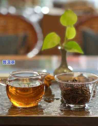 小白入手临沧普洱茶怎么样-小白入手临沧普洱茶怎么样了