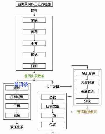 普洱茶的花香制作工艺流程-普洱茶的花香制作工艺流程图