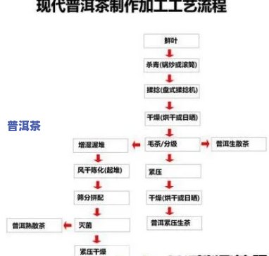 普洱茶的花香制作工艺流程-普洱茶的花香制作工艺流程图