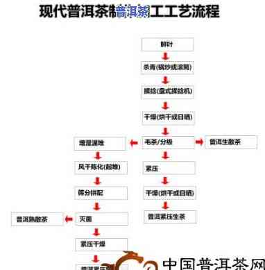 普洱茶的花香制作工艺流程-普洱茶的花香制作工艺流程图
