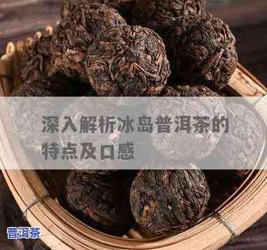 怎么介绍普洱冰岛茶文化，探秘普洱冰岛茶文化：历史、特点与品尝指南