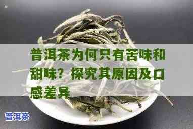 为什么普洱茶有苦味？揭示其背后的起因