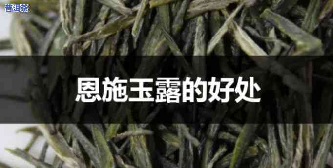 普洱茶和恩施玉露茶的区别在哪，探究普洱茶与恩施玉露茶的不同之处