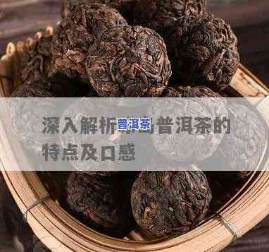 普洱冰岛茶特点历史简介，探秘普洱冰岛茶：特点、历史与简介