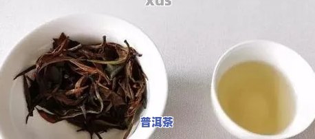 百年普洱茶能否饮用？是不是有？上的看法是什么？