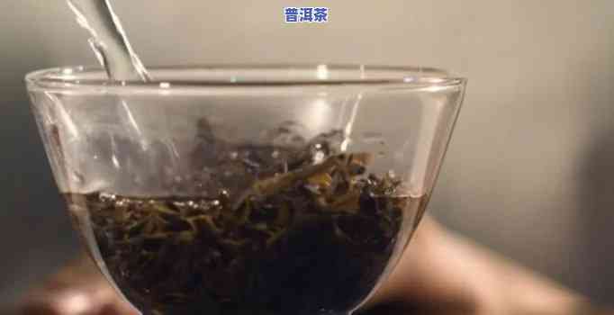 普洱茶水温：合适的温度是多少？