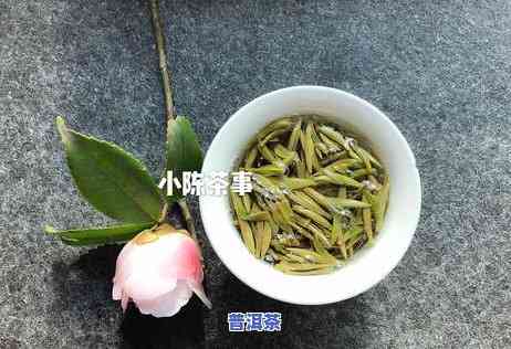 深入理解：普洱茶与红茶的区别及意义