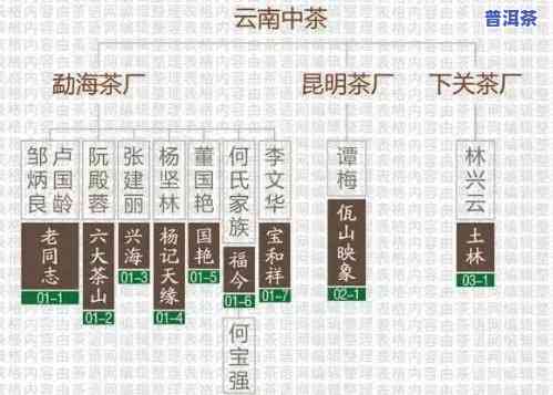 普洱茶大厂：揭秘行业巨头与中小企业的区别