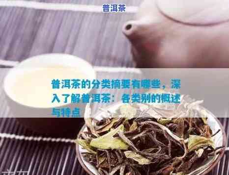 全面熟悉普洱茶：茶叶的介绍、特点与品尝词