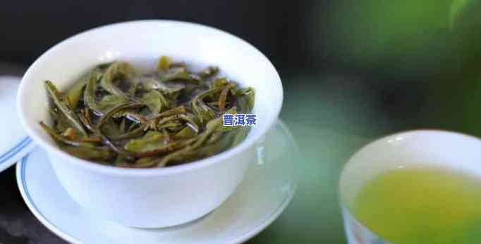 全面熟悉普洱茶：茶叶的介绍、特点与品尝词