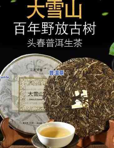 普洱大雪山茶价格，探寻普洱大雪山茶的价格与品质