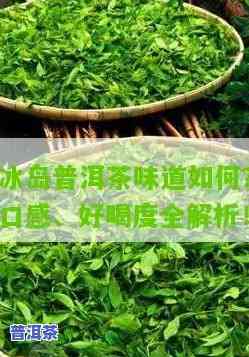 普洱茶冰岛的口感，探索冰岛普洱茶的特别口感：一次味蕾的冒险