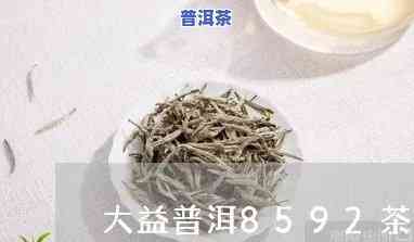 普洱大益茶8592价格，深度解析：普洱大益茶8592的市场价格及其作用因素