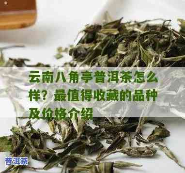 最新勐海八角亭普洱茶价格表，全网最全价格信息！