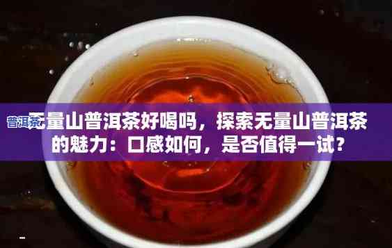 冲泡无量山普洱茶能放多久-冲泡无量山普洱茶能放多久啊